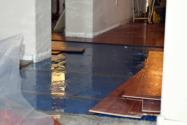 Professional Flood Damage Repair technician working in Leawood, KS